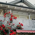 A Cozy Away From * 巴德伊舍