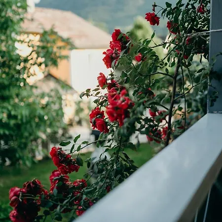 A Cozy Away From Appartement Bad Ischl