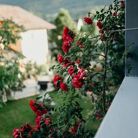 A Cozy Away From Apartmán
