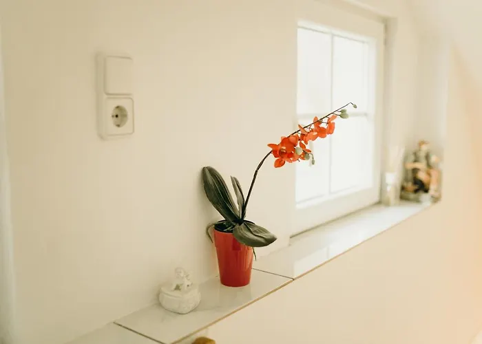 公寓 A Cozy Away From 巴德伊舍