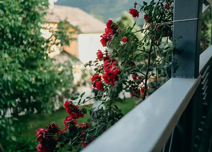 A Cozy Away From 公寓 巴德伊舍