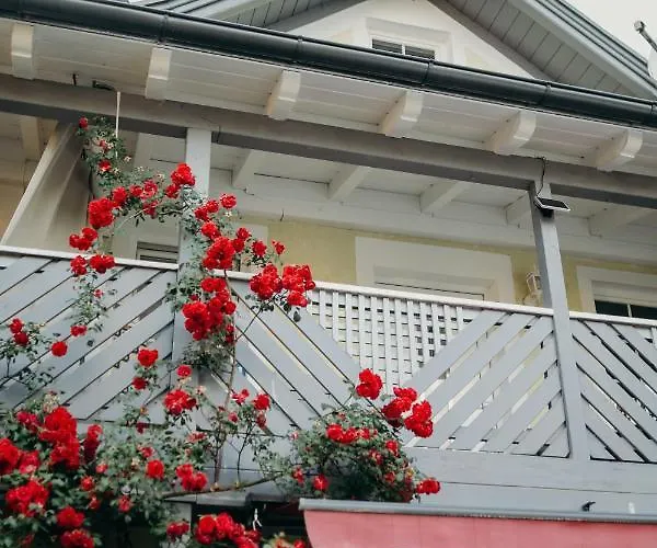 A Cozy Away From * 巴德伊舍