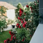 A Cozy Away From Apartament