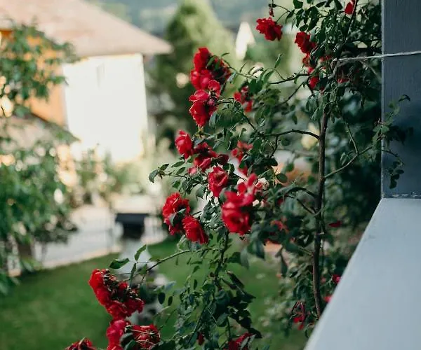 A Cozy Away From Διαμέρισμα